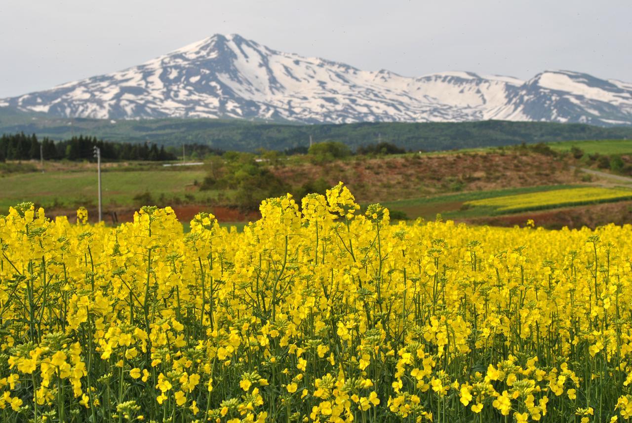 Chokai Sarukuraonsen Hotel Foresta Chokai Yurihonjo ภายนอก รูปภาพ
