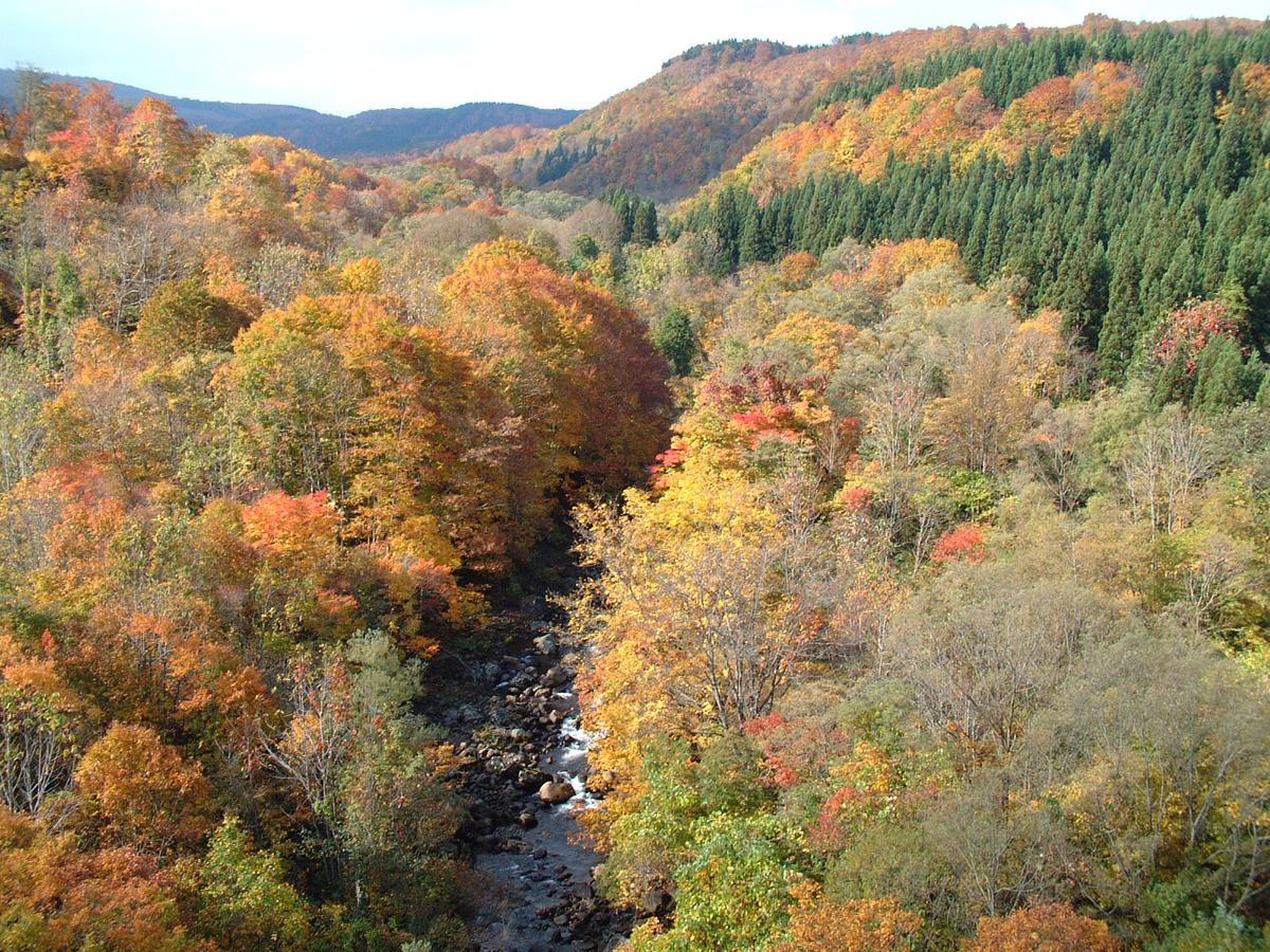 Chokai Sarukuraonsen Hotel Foresta Chokai Yurihonjo ภายนอก รูปภาพ