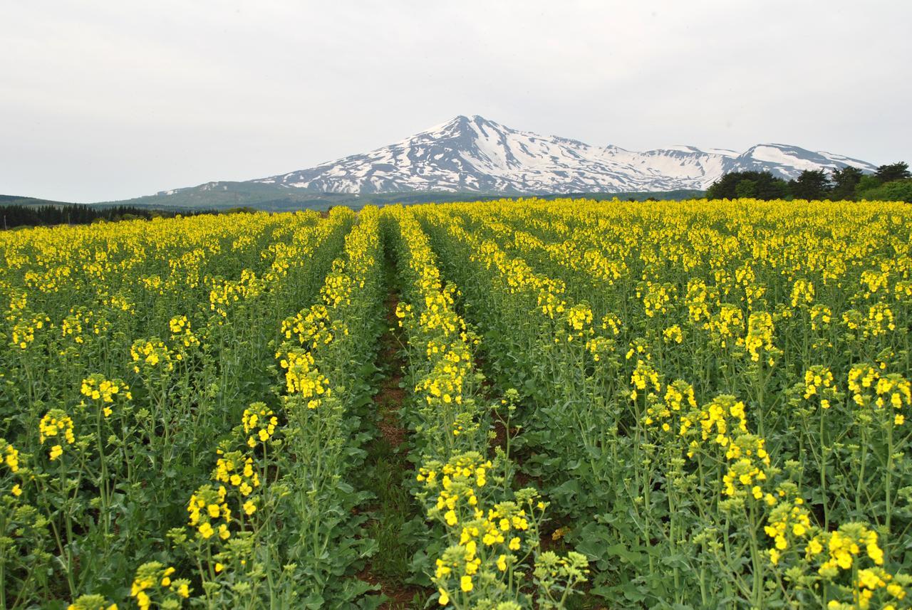 Chokai Sarukuraonsen Hotel Foresta Chokai Yurihonjo ภายนอก รูปภาพ